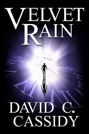 Velvet Rain - A Dark Thriller