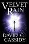 Velvet Rain - A Dark Thriller