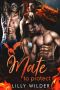 A Mate To Protect · Paranormal Dragon Reverse Harem Romance