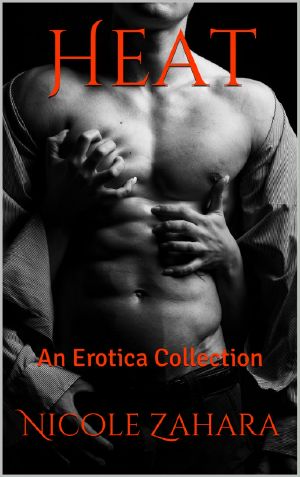 Heat - an Erotica Collection