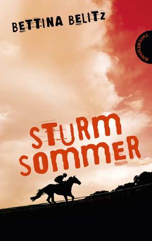 Sturmsommer