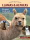 Llamas and Alpacas