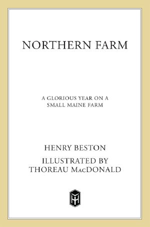 The Northern Farm