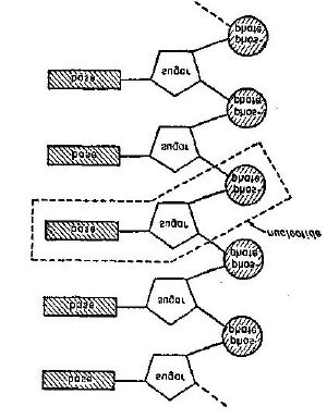 The Double Helix (1968)