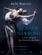 El amor vanidoso · 45 (Serendipity Maior)