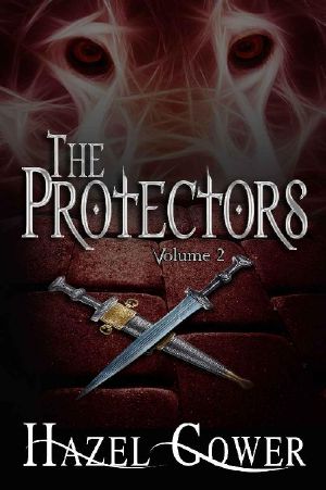 The Protectors Volume 2