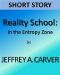 Reality School in the Entropy Zone