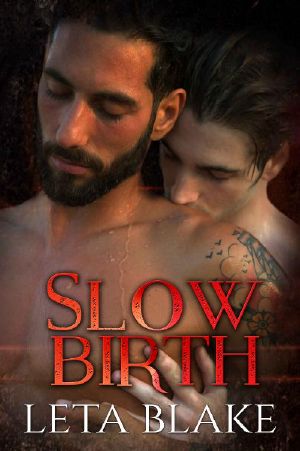 Slow Birth: a Heat of Love novella