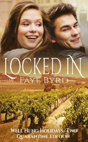 Locked In (Well Hung Holidays Book 2)