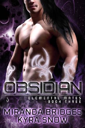 Obsidian · An Alien Warrior Romance (Elemental Mates Book 3)