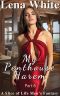 My Penthouse Harem - Part 6