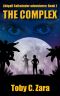 The Adventures of Abigail Saltminder. Book 1 · The Complex
