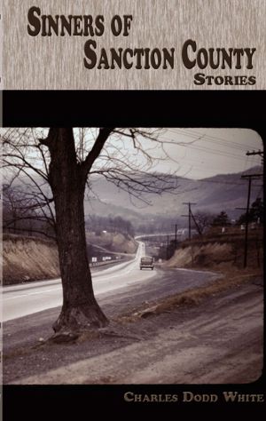 Sinners of Sanction County · Stories (Appalachian Writing Series)