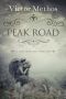 Peak Road - a Short Thriller (Jon Stanton Mysteries Book 10)