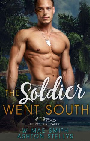 The Soldier Went South · An Mpreg Romance