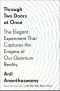 Through Two Doors at Once · The Elegant Experiment That Captures the Enigma of Our Quantum Reality