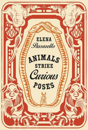 Animals Strike Curious Poses