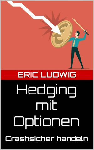 Hedging mit Optionen: Crashsicher handeln (German Edition)
