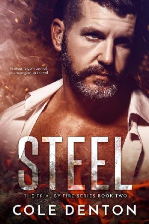 Steel · the Trial by Fire Series Book Two (The Trial by Fires Series 2)