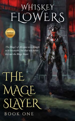 The Mage Slayer