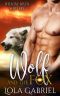 Wolf and the Fox (Willow River Shifters Book 1)