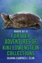 The Further Adventures of Kiki Lowenstein · Collections 1,2 and 3 · Short Stories that Accompany the Kiki Lowenstein Mystery Series