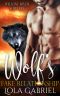 Wolf's Fake Relationship (Willow River Shifters Book 3)