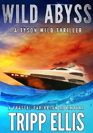 Wild Abyss: A Coastal Caribbean Adventure (Tyson Wild Thriller Book 18)