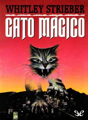 Gato mágico