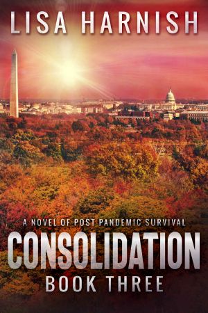 Consolidation · Book Three