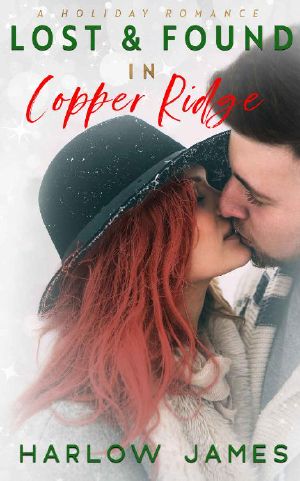 Lost & Found in Copper Ridge: A Holiday Romance