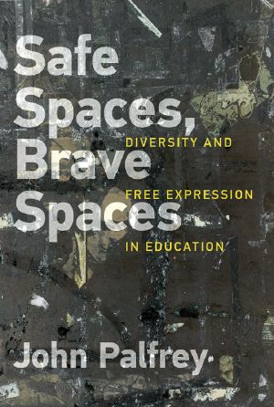 Safe Spaces, Brave Spaces, Diversity and Free Expression in Education