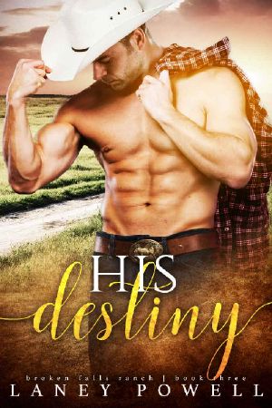 His Destiny (A Broken Falls Ranch Book 3)