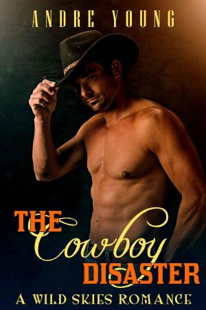 The Cowboy Disaster · A Wild Skies Gay Romance