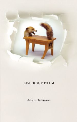 Kingdom, Phylum