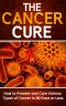 Cancer · the Cancer Cure · How to Prevent and Cure Various Types of Cancer in 90 Days or Less (Cancer, Cancer Cure, Prevent Cancer)