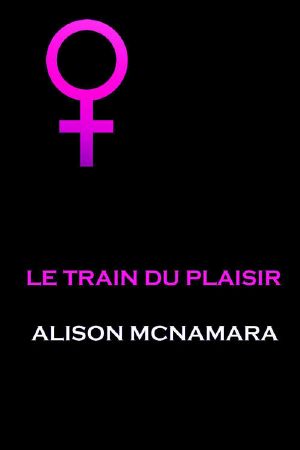 Le train du plaisir