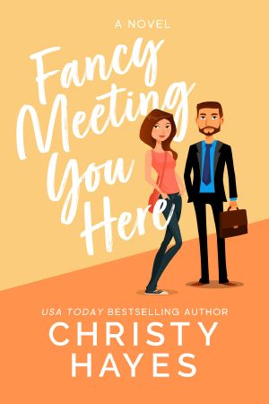 Fancy Meeting You Here - Christy Hayes