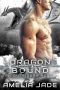 Dragon Bound · Quicksilver Dragons Book 2