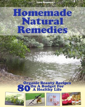 Homemade Natural Remedies · 80 Organic Beauty Recipes on a Budget for a Healthy Life · (Essential Oils, Diffuser Recipes and Blends, Aromatherapy) (Natural Remedies, Stress Relief)