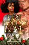 Hot Holiday Love · An Interracial romance