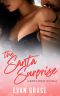 The Santa Surprise (A Ripple Effect novella)