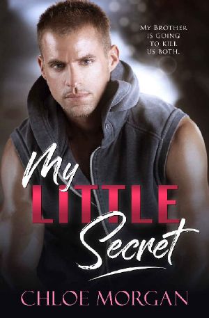 My Little Secret · A Brother's BFF Secret Baby Novel