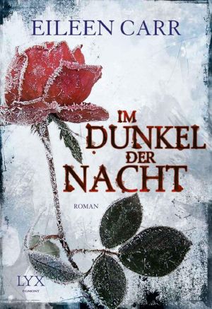 Im Dunkel der Nacht