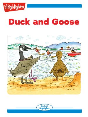 Duck and Goose