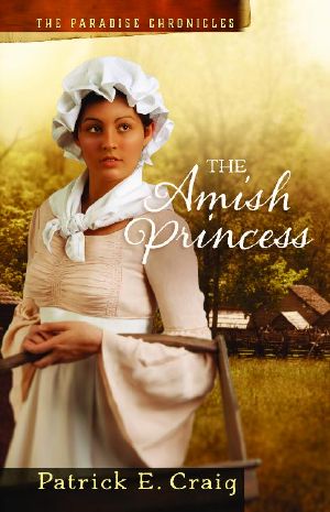 The Amish Princess