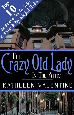 The Crazy Old Lady in the Attic