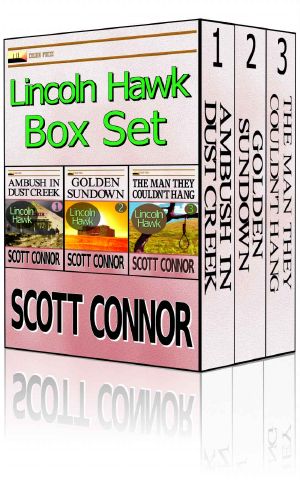 Lincoln Hawk Series 1-3 Omnibus