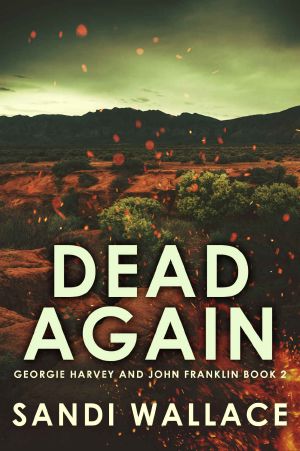 Dead Again · Will Someone Kill to Keep Their Secret? · Georgie Harvey and John Franklin Book 2