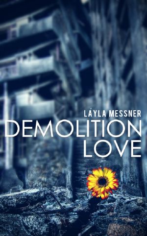 Demolition Love